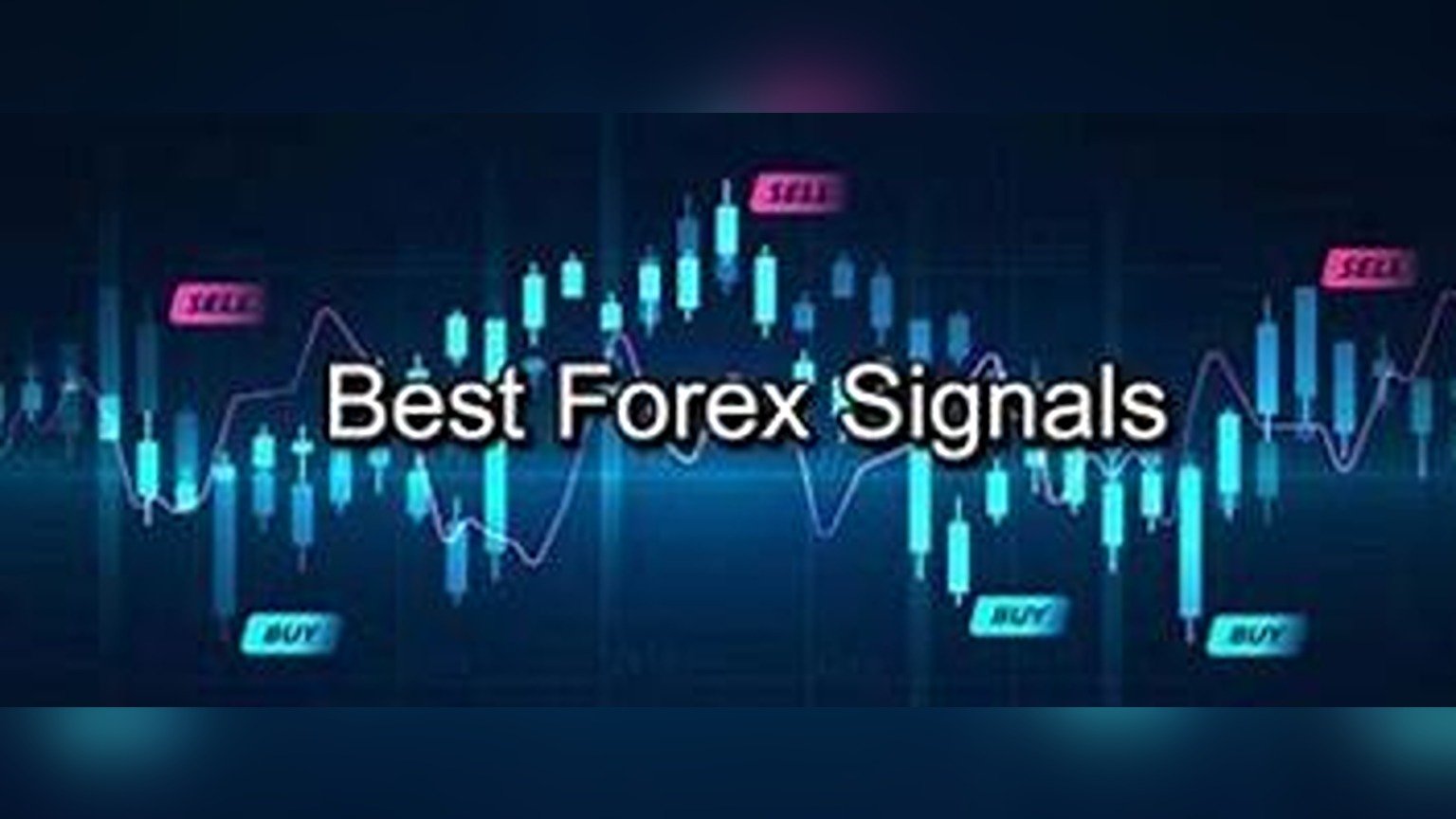 Best-Forex-Signals.jpg
